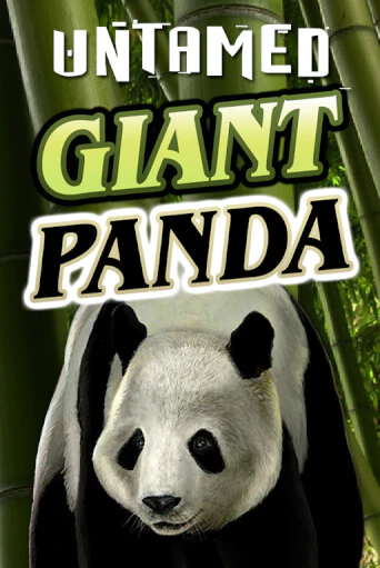 Untamed - Giant Panda - играть онлайн | Клуб Джекпот - без регистрации