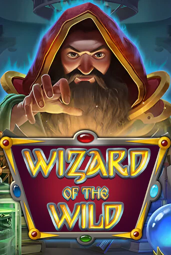 Wizard of the Wild - играть онлайн | Клуб Джекпот - без регистрации